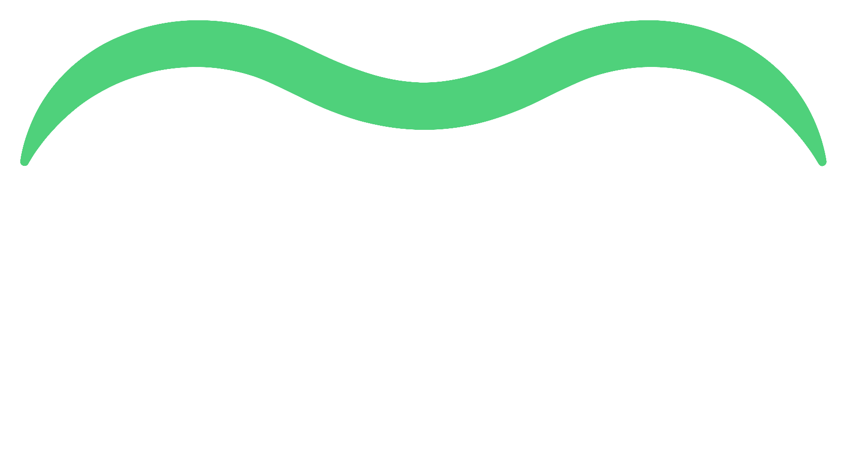 Salvita IT